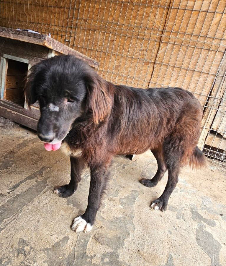 neues Foto September 2025