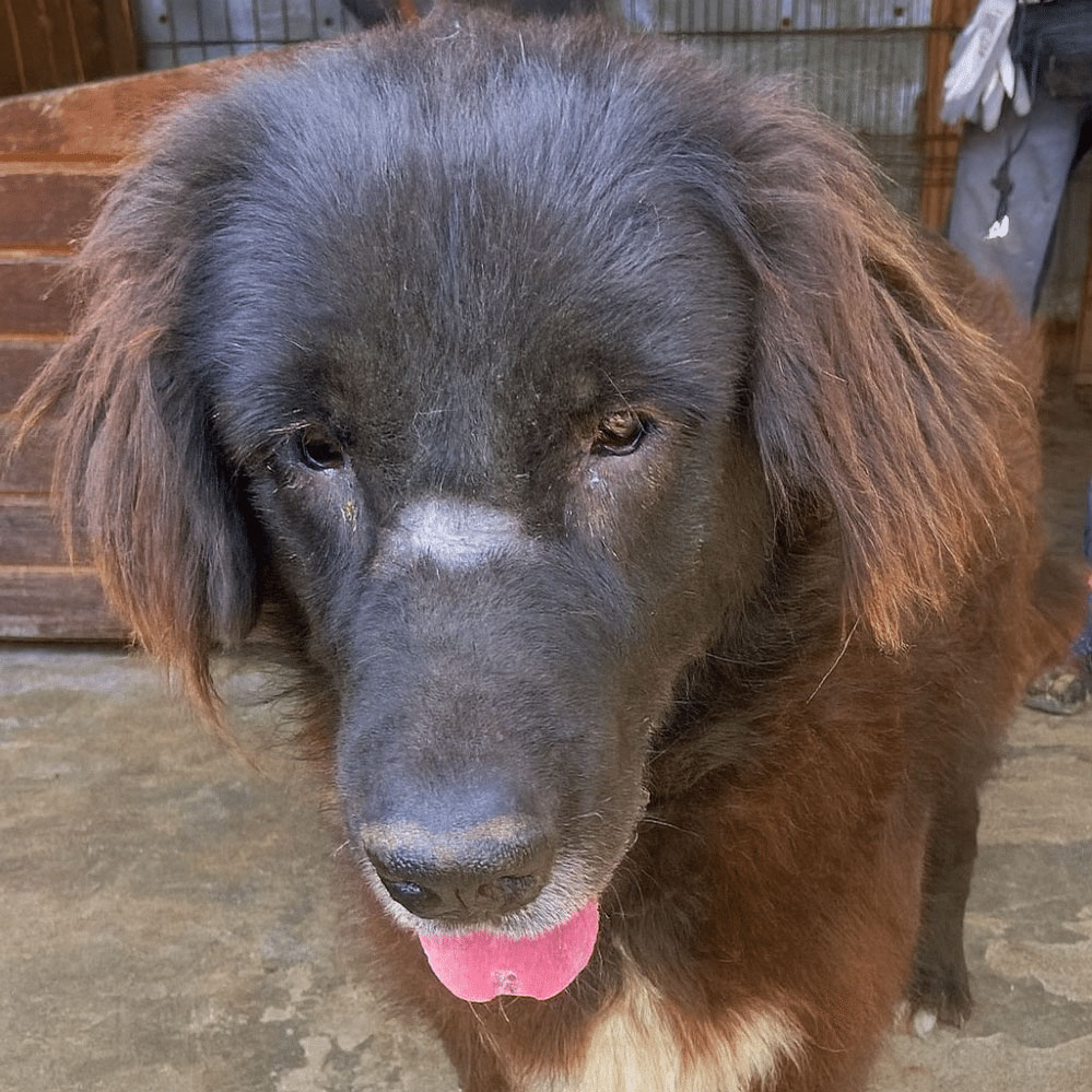 neues Foto September 2025