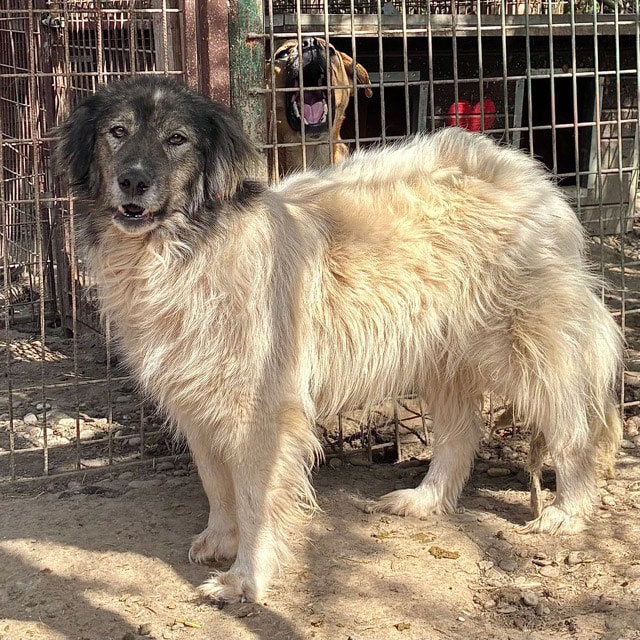 neues Foto September 2025