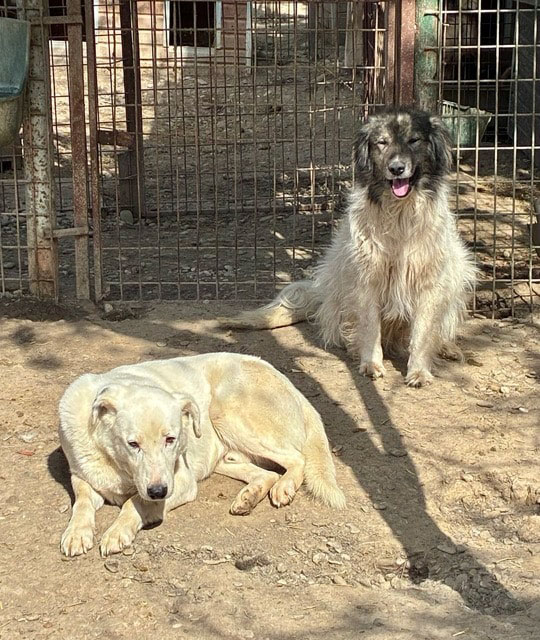 neues Foto September 2025