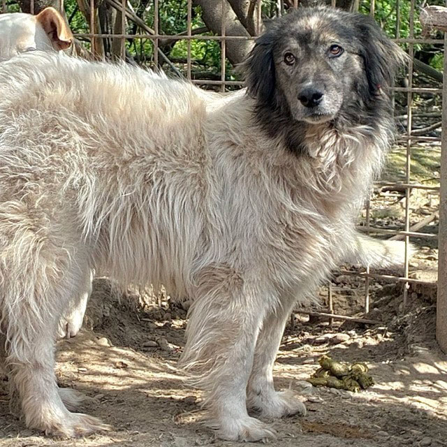 neues Foto September 2025