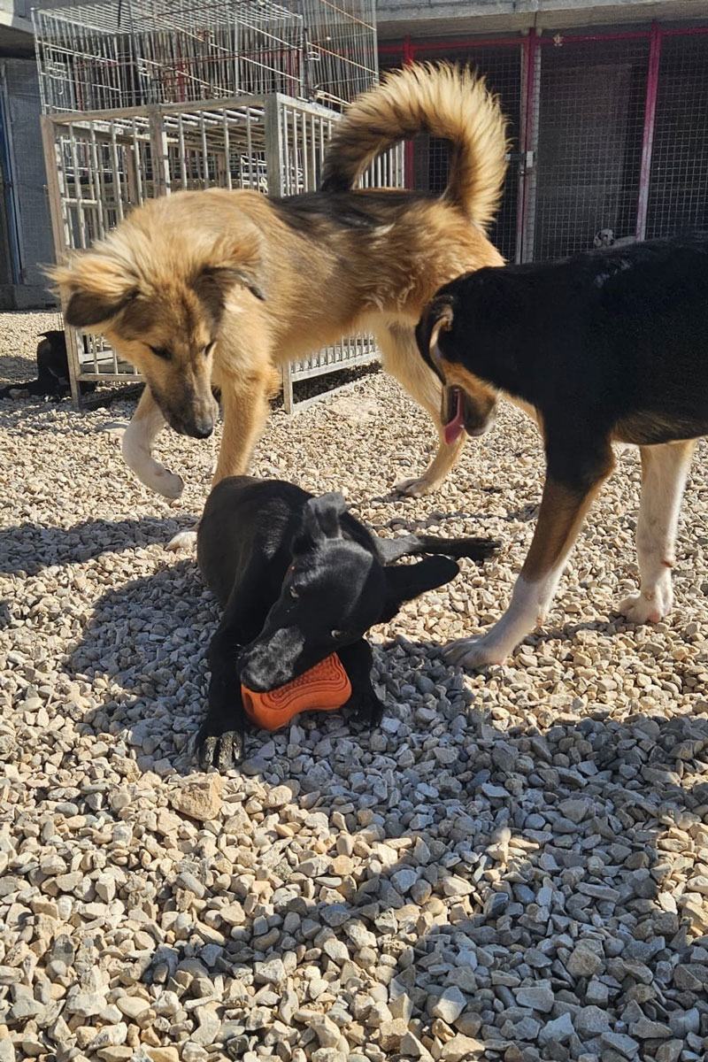 neues Foto September 2025