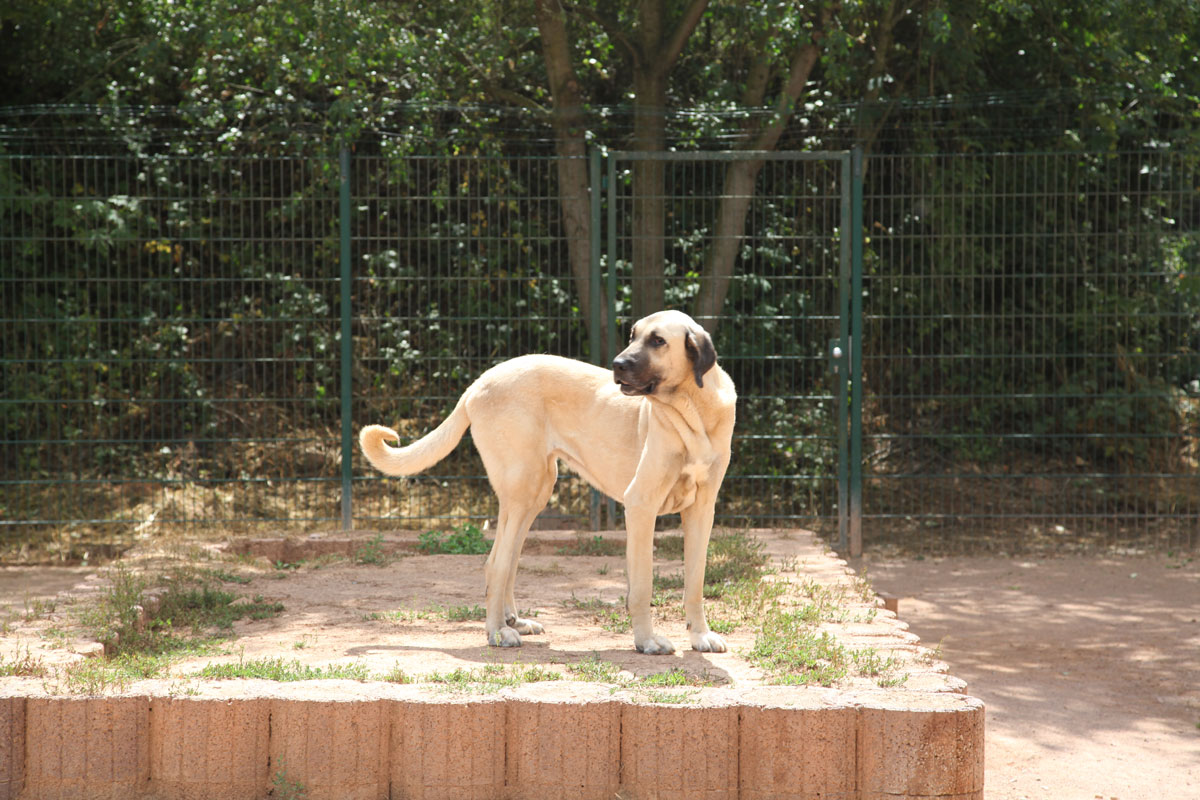 neues Foto September 2025