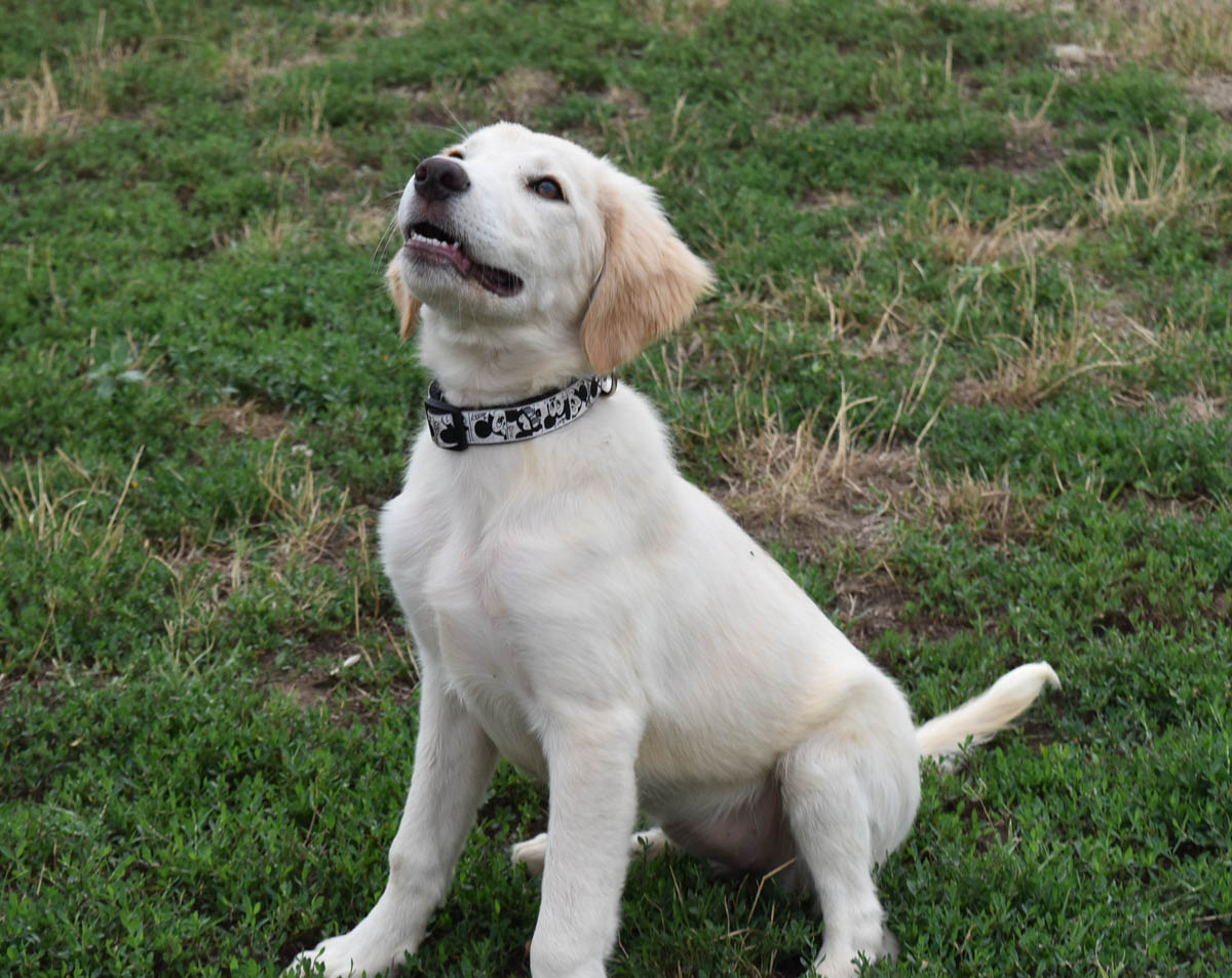 neues Foto September 2025