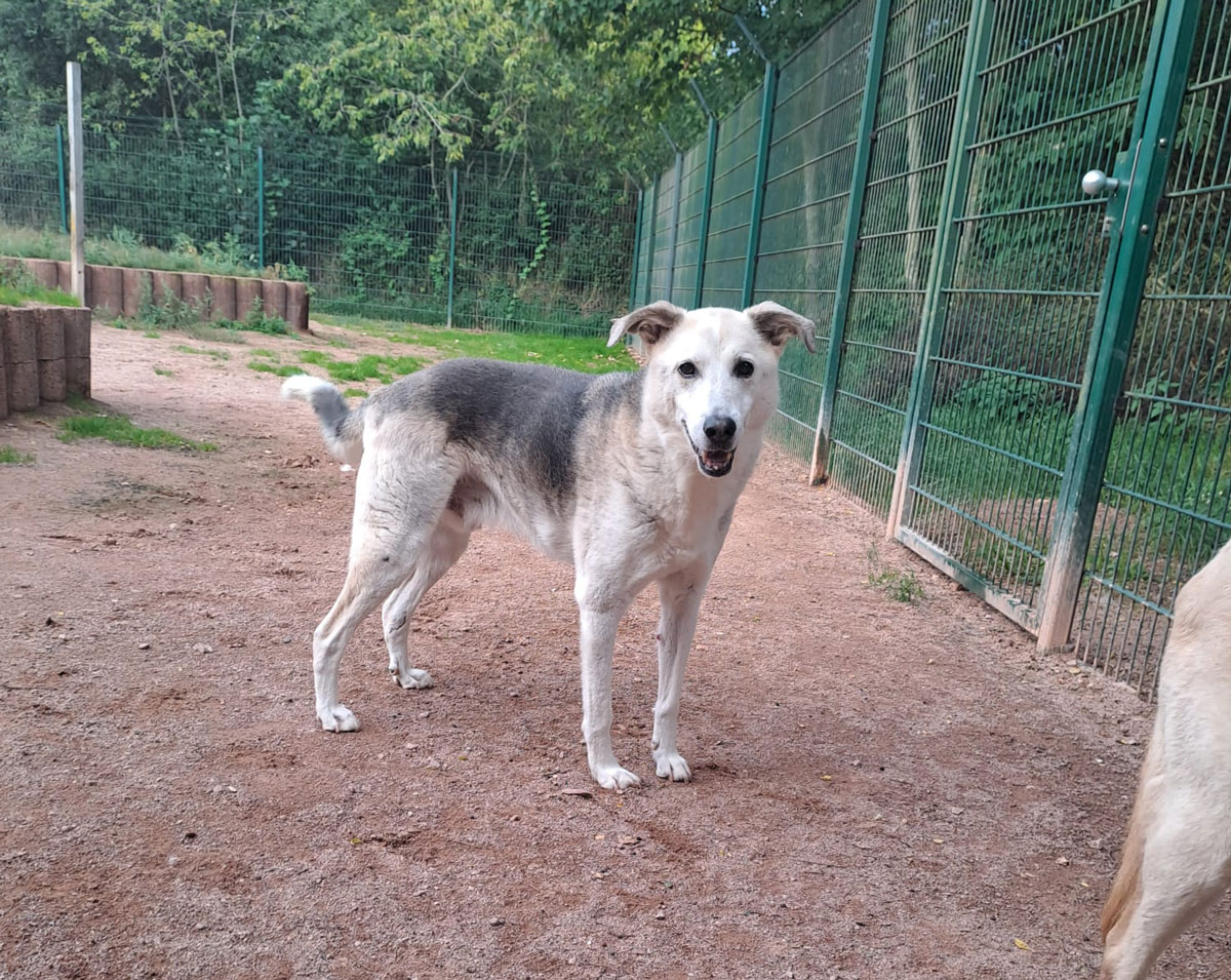 neues Foto September 2025