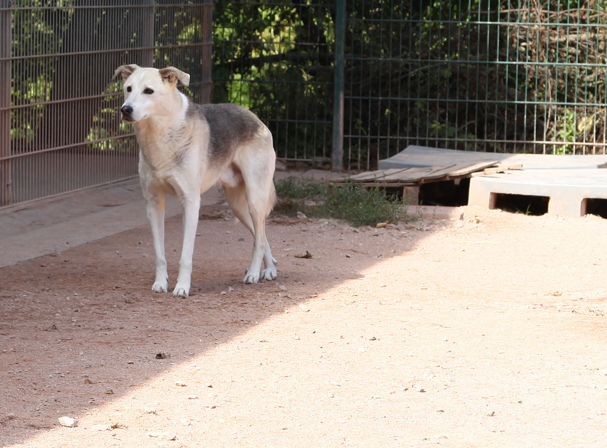 neues Foto September 2025