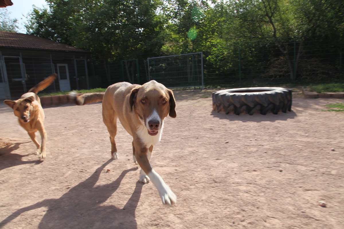 neues Foto September 2025