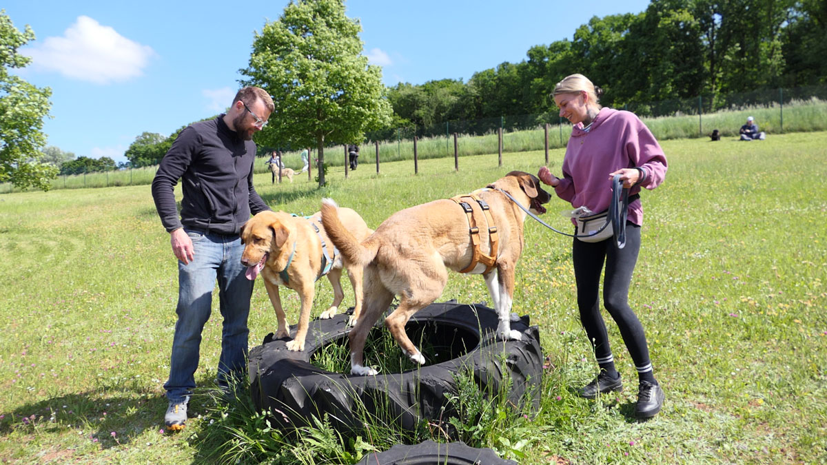 neues Foto September 2025