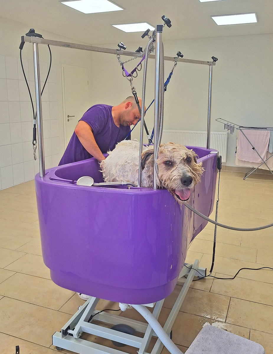 Charlie beim Friseur - neues Foto September 2025