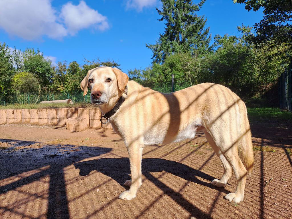 neues Foto Oktober 2025