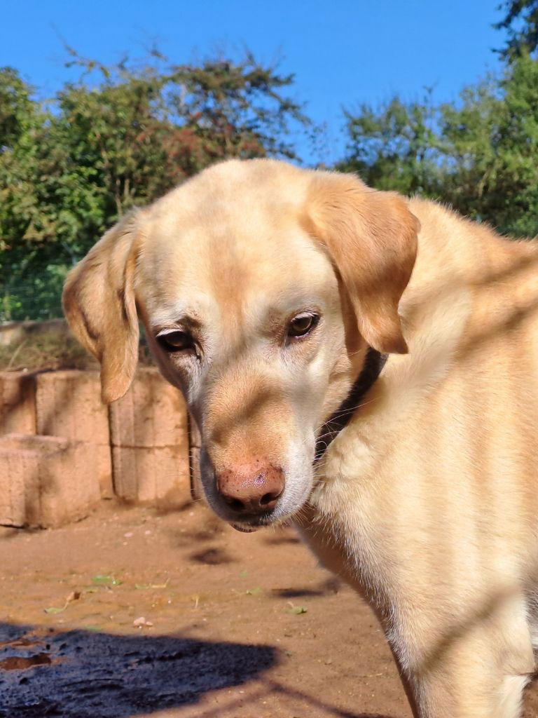 neues Foto Oktober 2025