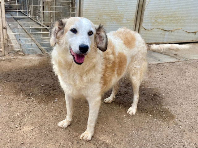 neues Foto Oktober 2025