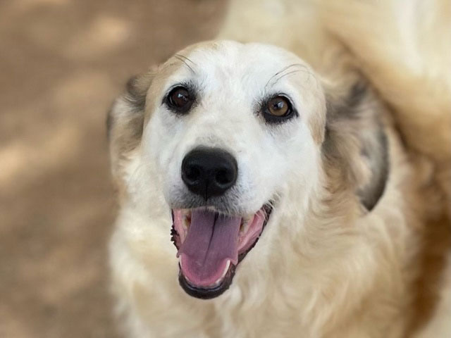 neues Foto Oktober 2025