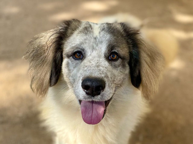 neues Foto Oktober 2025