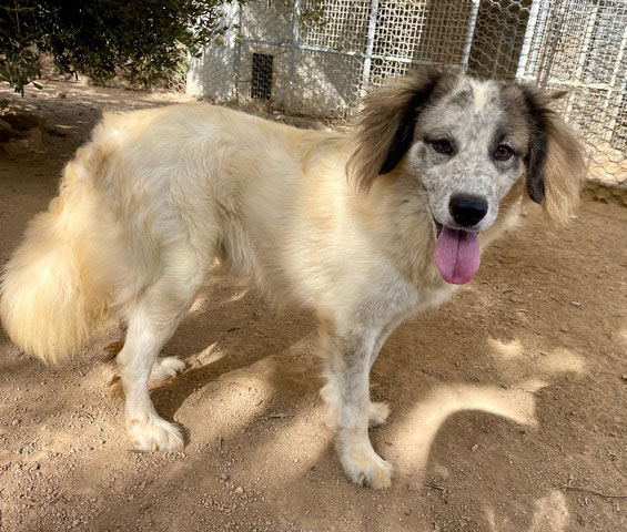 neues Foto Oktober 2025