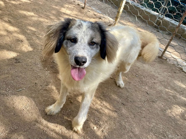 neues Foto Oktober 2025