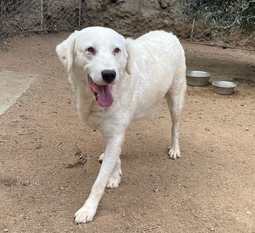 neues Foto Oktober 2025