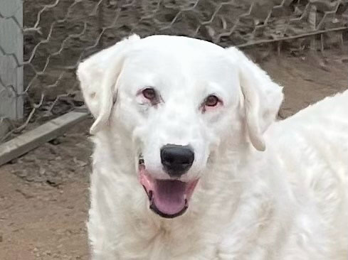 neues Foto Oktober 2025