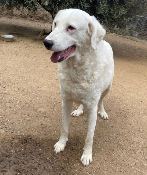 neues Foto Oktober 2025