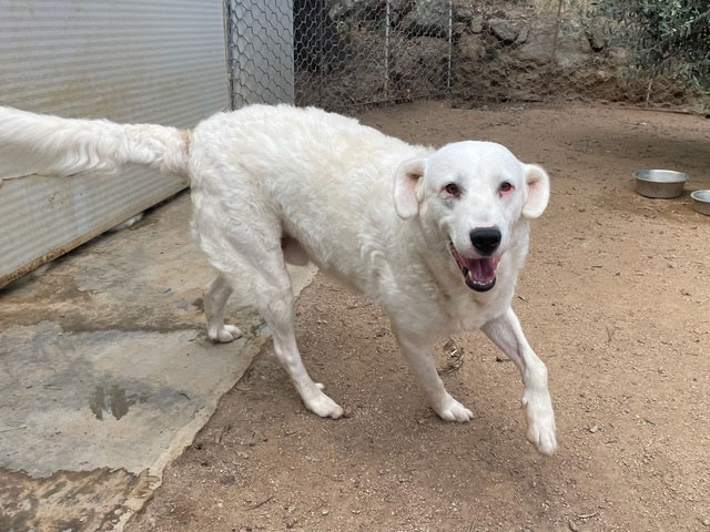 neues Foto Oktober 2025