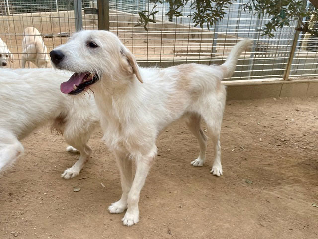 neues Foto Oktober 2025