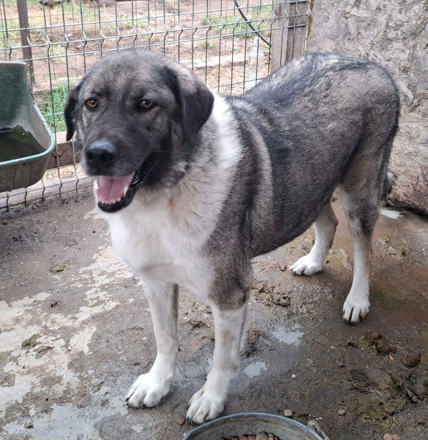 neues Foto Oktober 2025