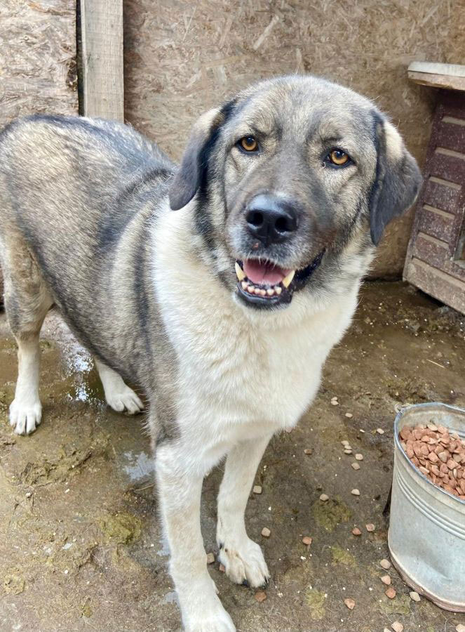 neues Foto Oktober 2025