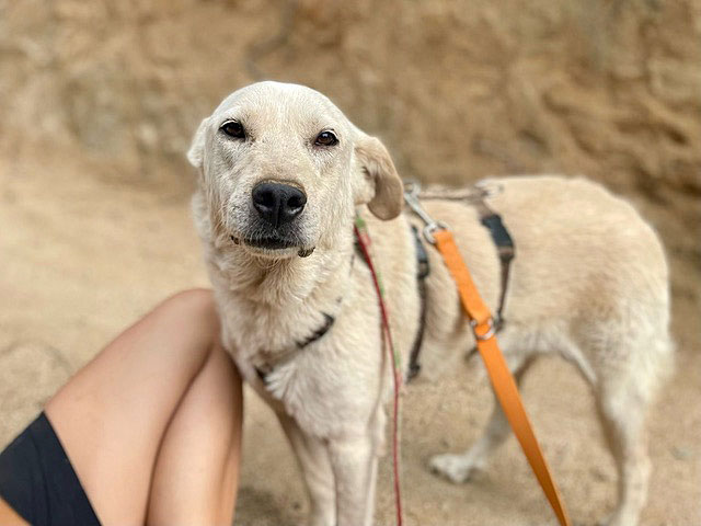 neues Foto Oktober 2025