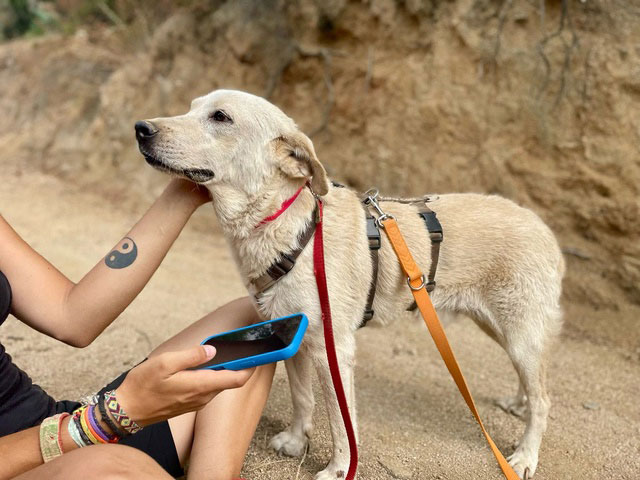 neues Foto Oktober 2025