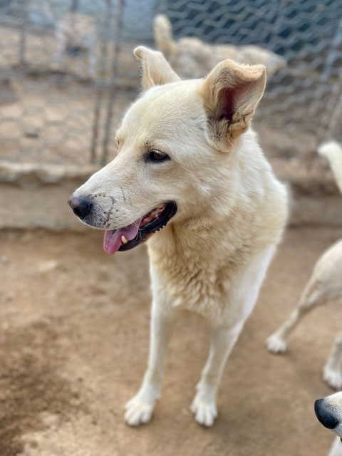 neues Foto Oktober 2025