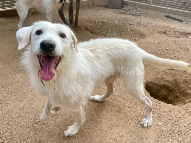 neues Foto Oktober 2025