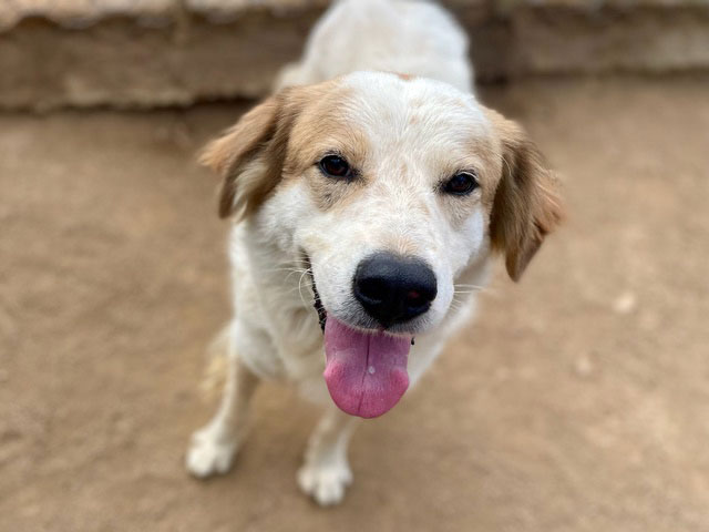 neues Foto Oktober 2025