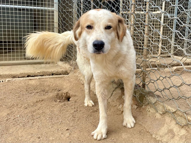 neues Foto Oktober 2025