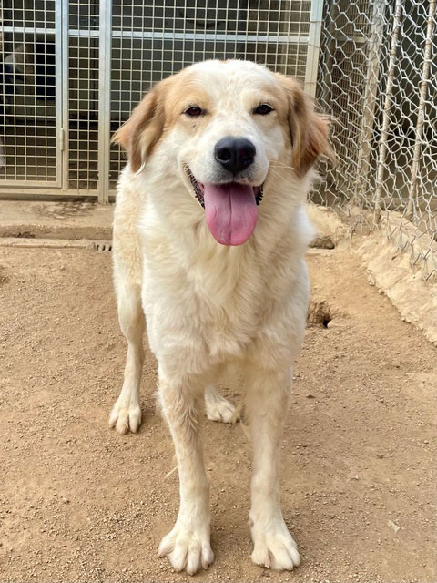 neues Foto Oktober 2025