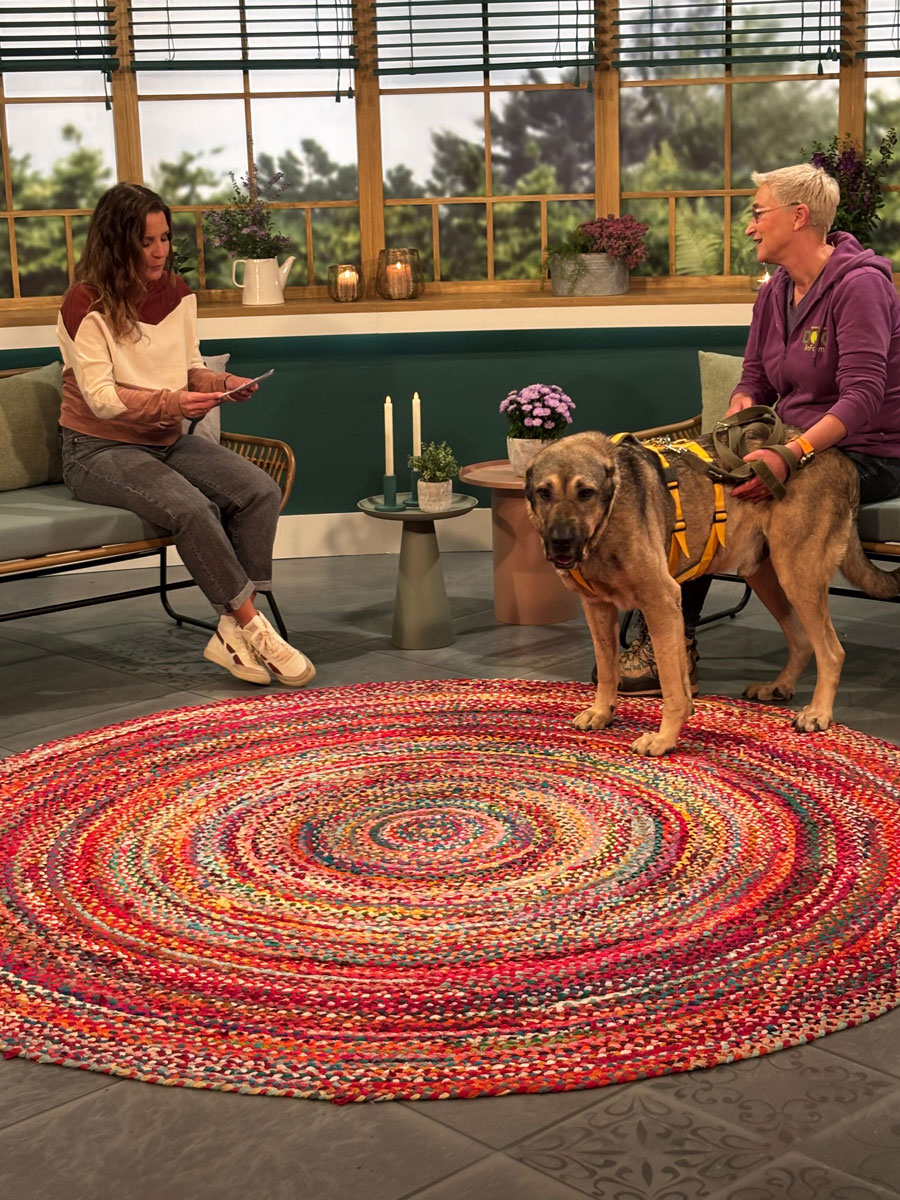 neues Foto Oktober 2025 - Hedonis war beim WDR "Tiere suchen ein Zuhaus"