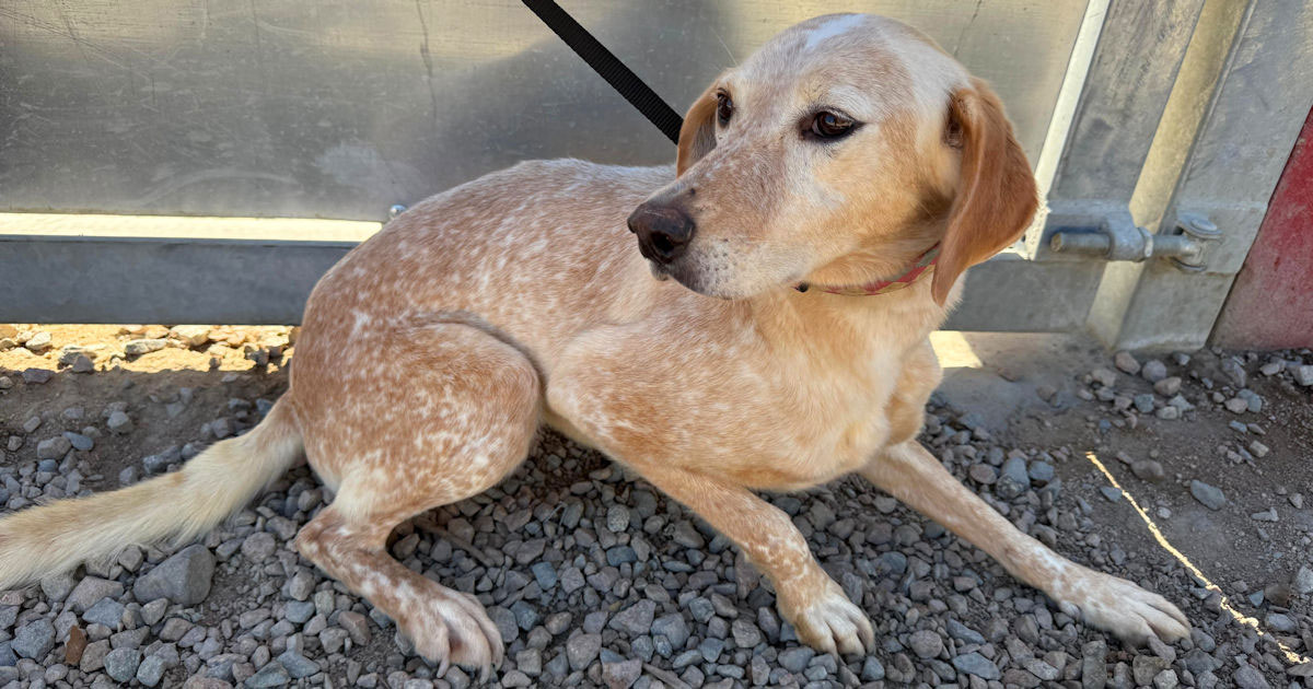 neues Foto Oktober 2025