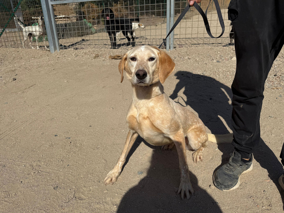 neues Foto Oktober 2025