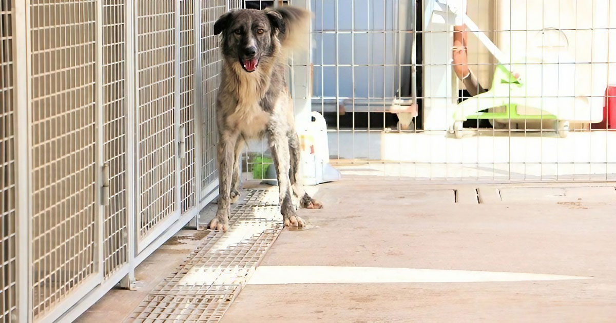 neues Foto Oktober 2025