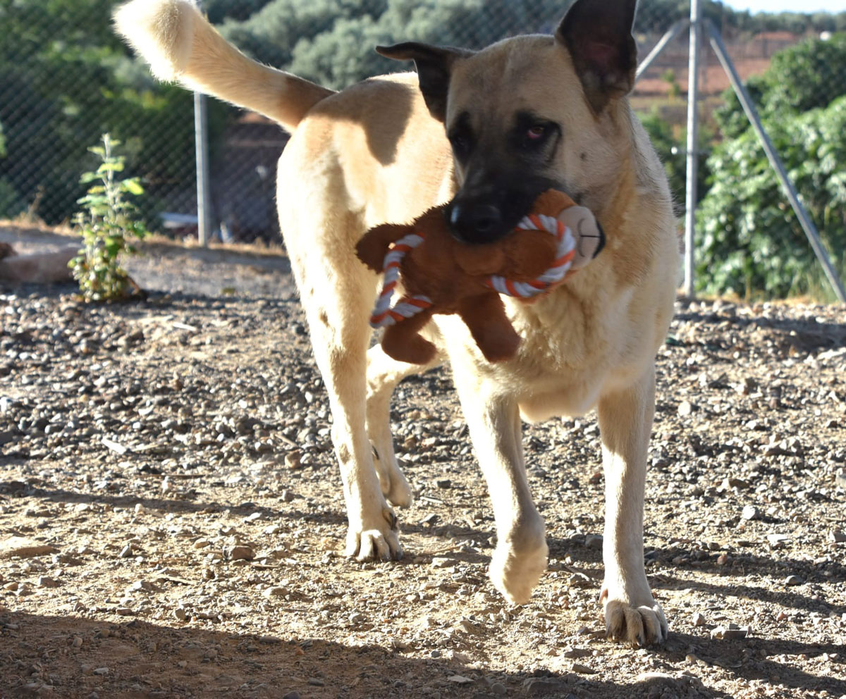 neues Foto Oktober 2025