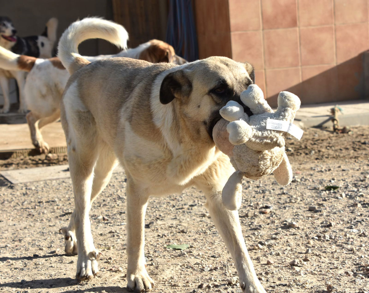 neues Foto Oktober 2025