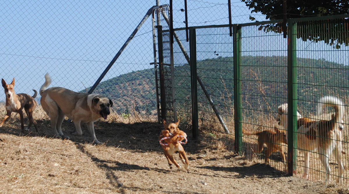 neues Foto Oktober 2025