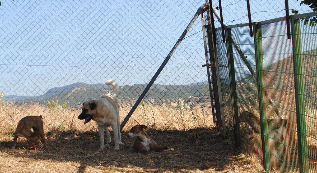 neues Foto Oktober 2025