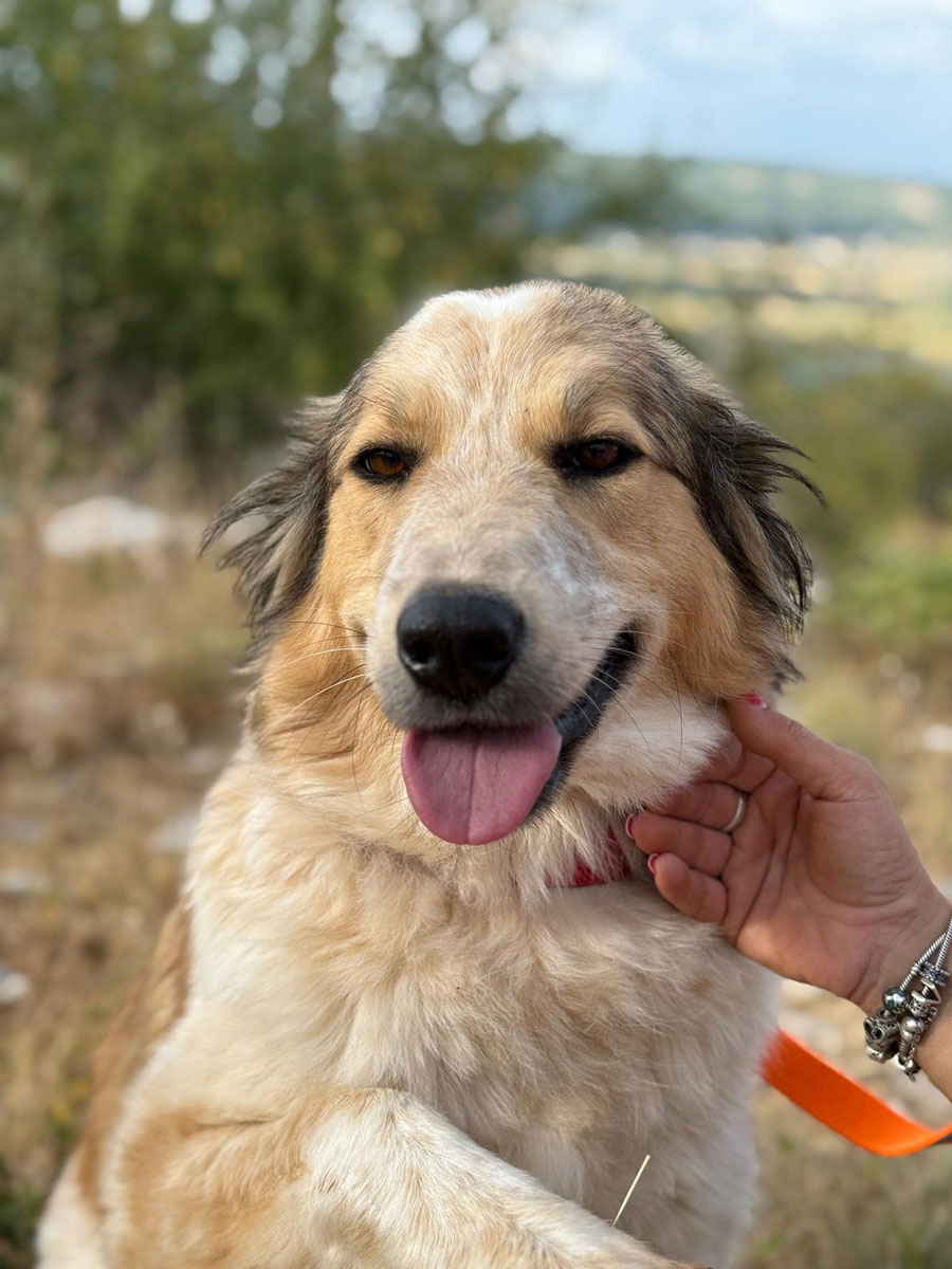 neues Foto Oktober 2025