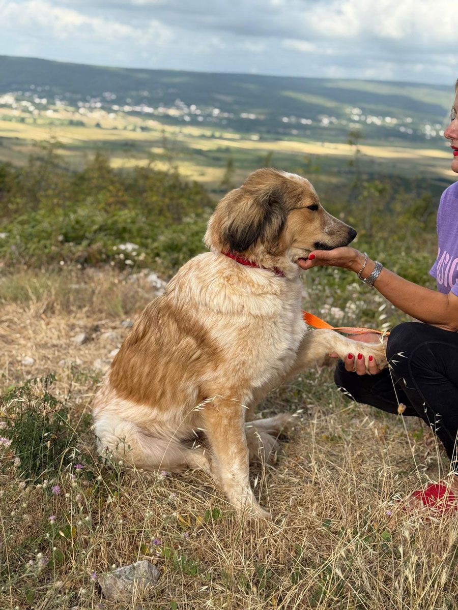 neues Foto Oktober 2025