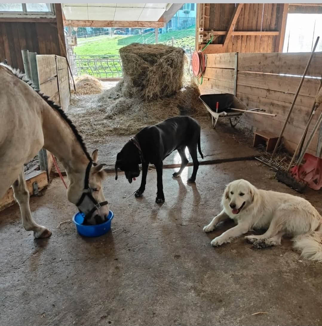 neues Foto Oktober 2025