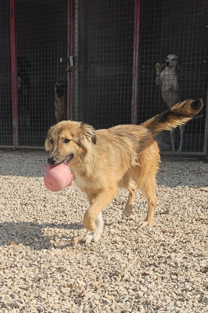 neues Foto Oktober 2025