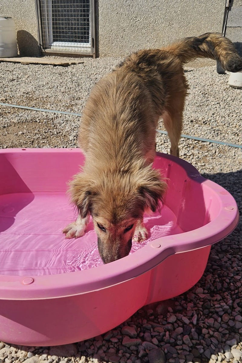 neues Foto Oktober 2025