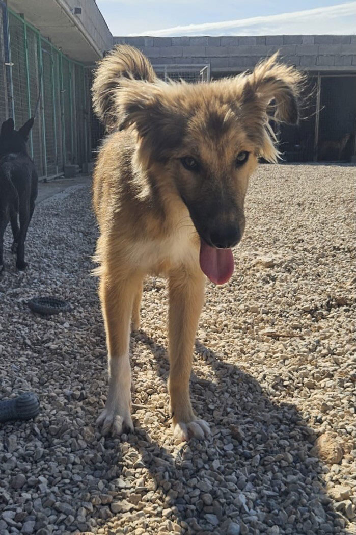 neues Foto Oktober 2025