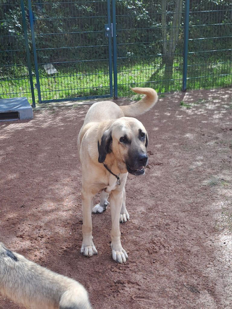 neues Foto Oktober 2025