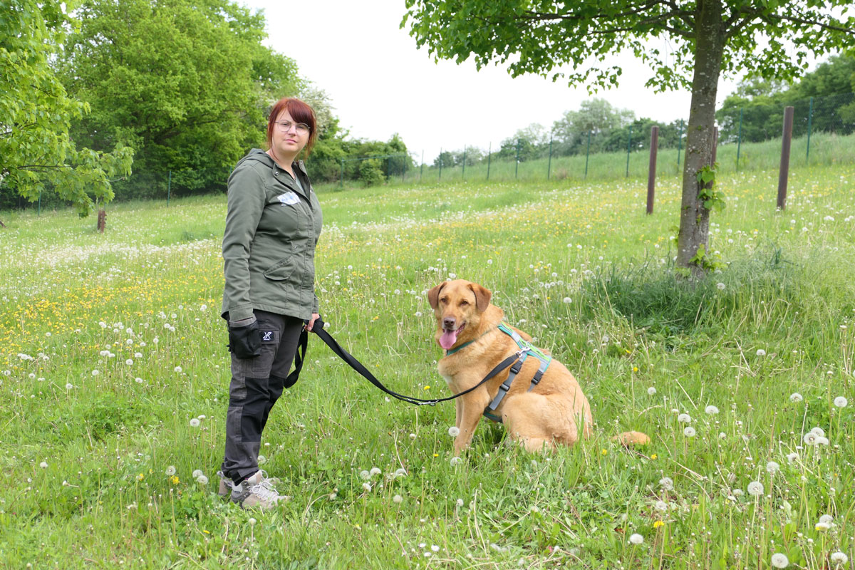 neues Foto Oktober 2025